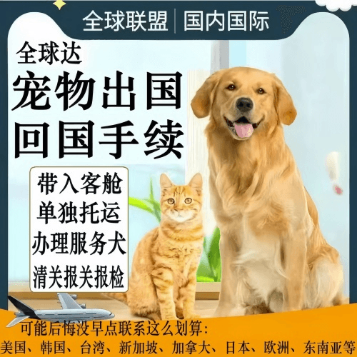 塔城地区宠物托运到柬埔寨宠物入境规定和要求