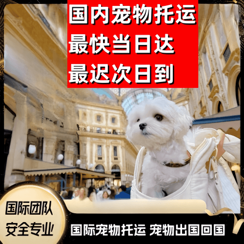 塔城地区到澳大利亚（澳洲）宠物入境规定和要求