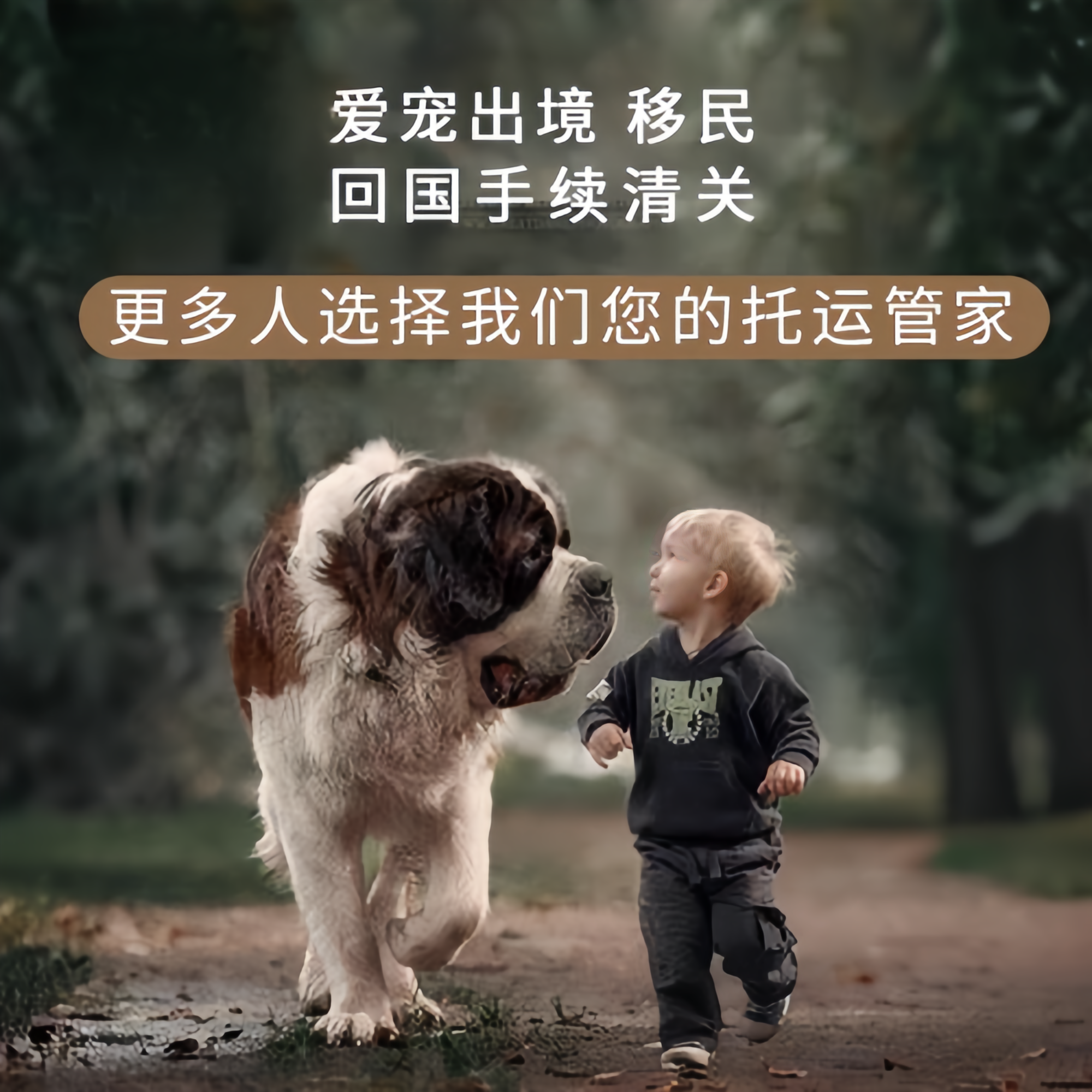 满财塔城地区宠物全球达宠物托运在遵守入境目的地政策的条件