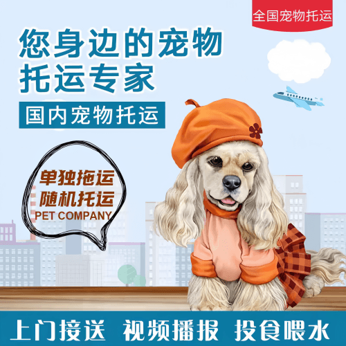 满财塔城地区宠物全球达宠物托运作为专业的宠物运输代理机构